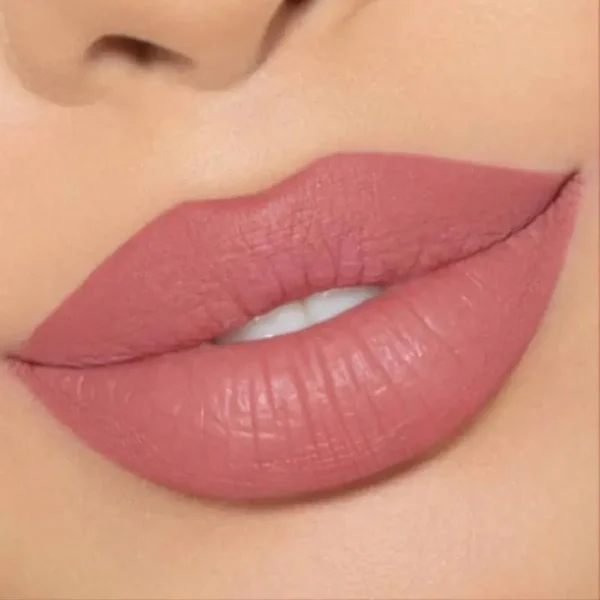 12 Colors Nude Matte Velvet Lip Gloss Waterproof - Image 2